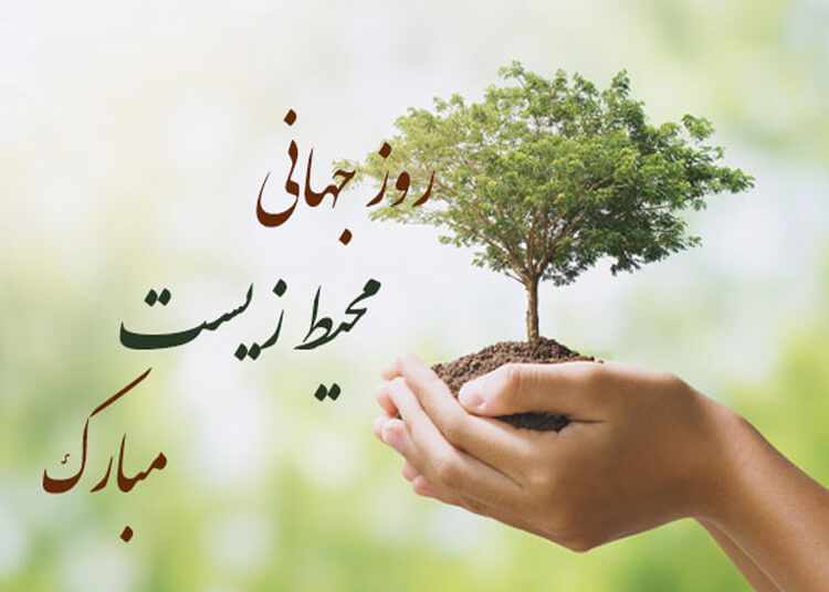 محیط زیست1